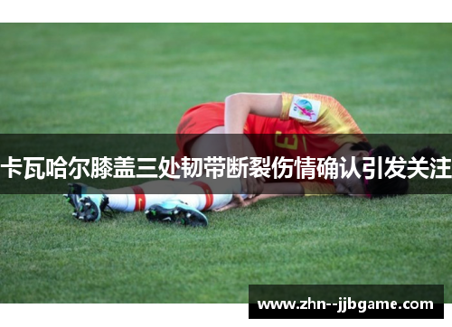 卡瓦哈尔膝盖三处韧带断裂伤情确认引发关注