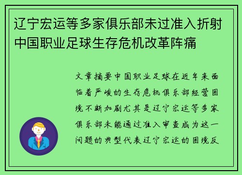 辽宁宏运等多家俱乐部未过准入折射中国职业足球生存危机改革阵痛